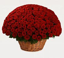 Премиум букет из: Розы в Ермаковской